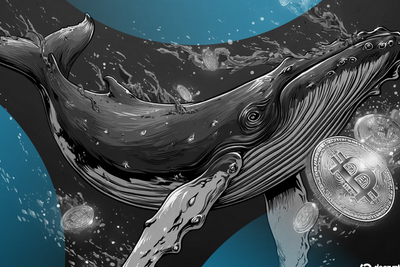Abandoned Bitcoin? Wallet Targeted by Noah Doe Lawsuit Moves $33 Million