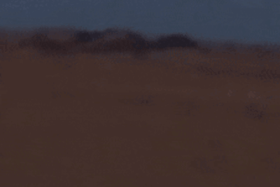 Abu Fanous