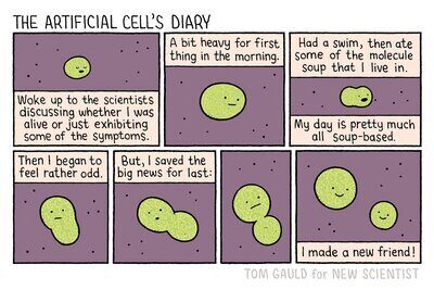 Tom Gauld on artificial cells