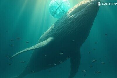 Whales Accumulate XRP While Retail Sells, Analyst Says